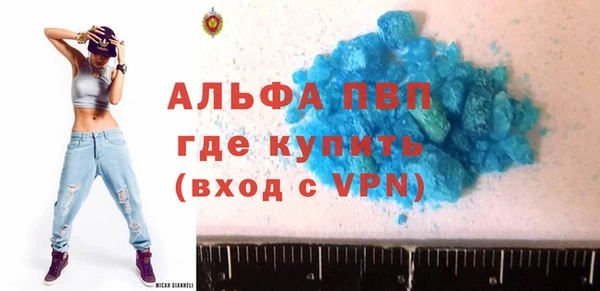 индика Инсар