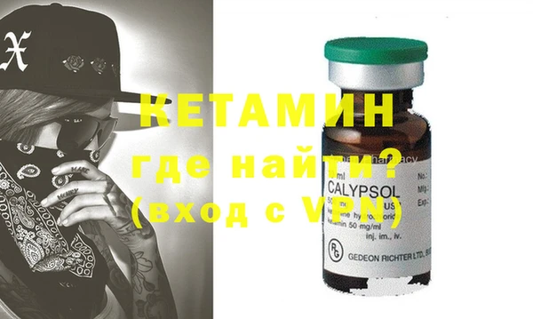 индика Инсар