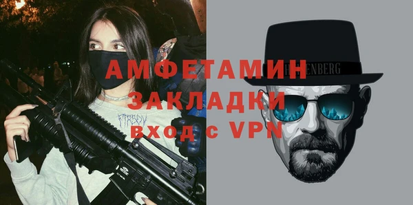 индика Инсар