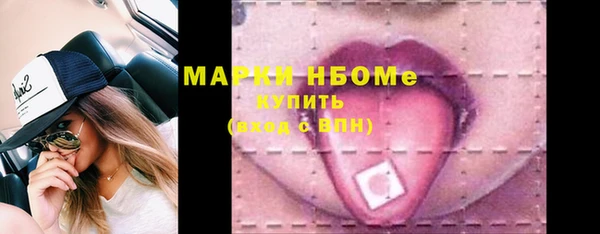 индика Инсар