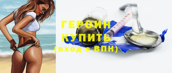 индика Инсар