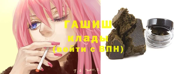 индика Инсар