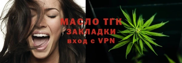 индика Инсар