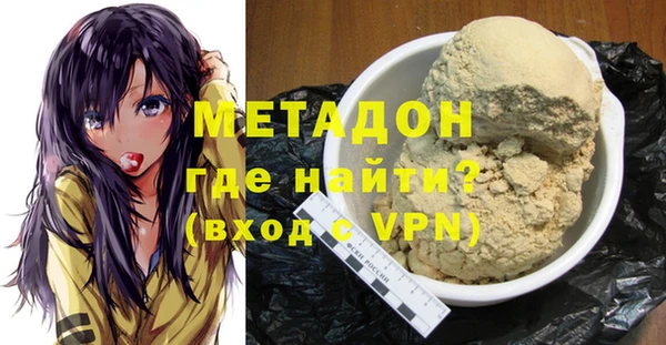 индика Инсар
