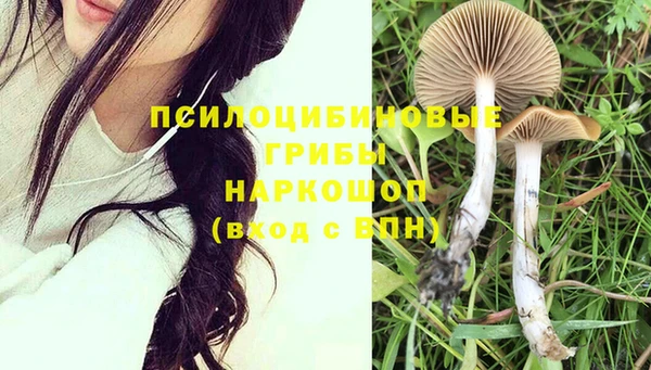 прущие крисы Иннополис