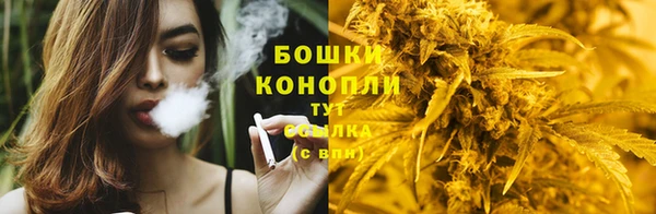 mdpv Инта